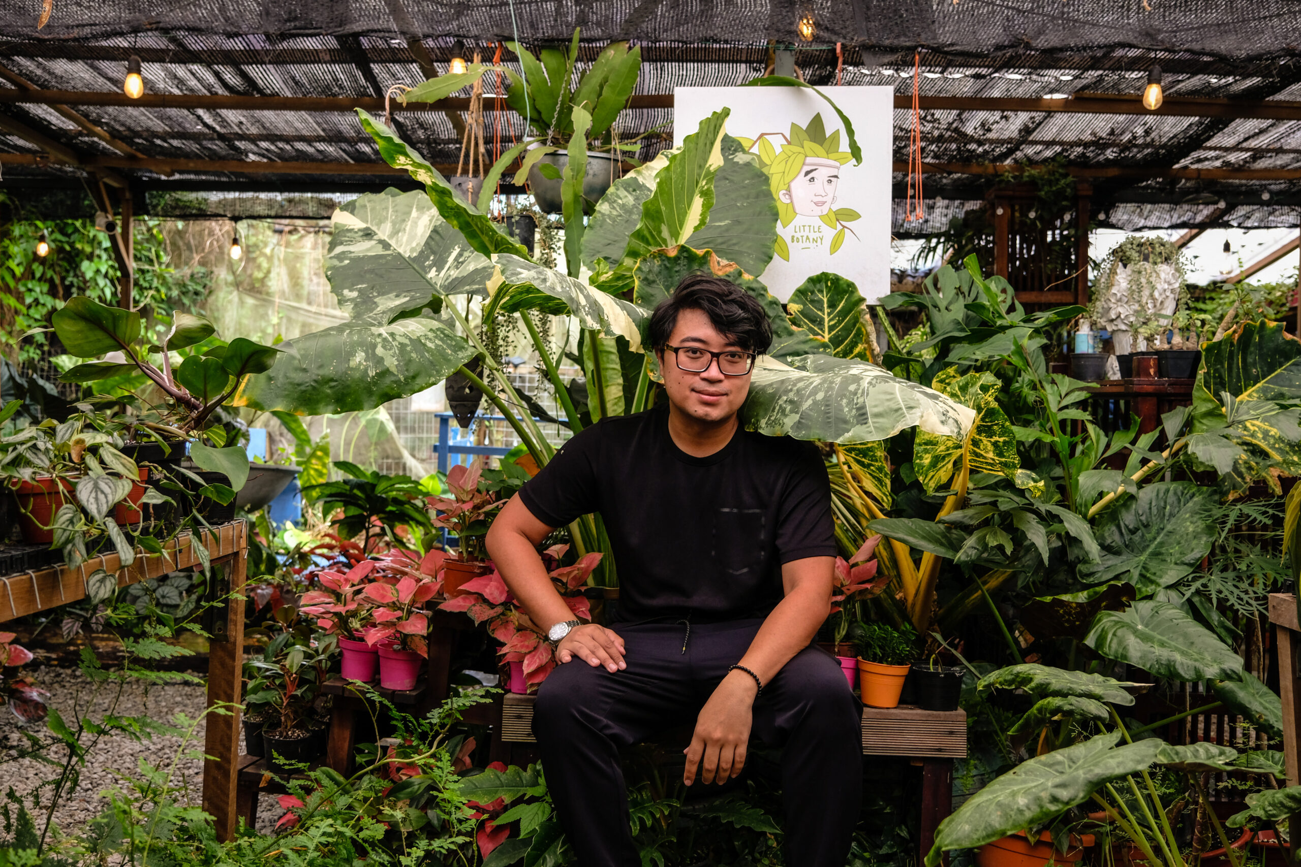 Plant klang nurseries valley thye trading ceramics weng brothers via