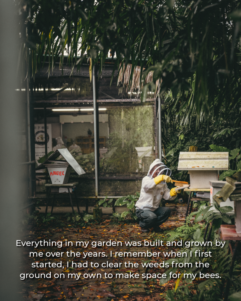 Everything in my garden was built and grown by me over the years. I remember when i first started, I had to clear the weeds from the ground on my own to make space for my bees. 
